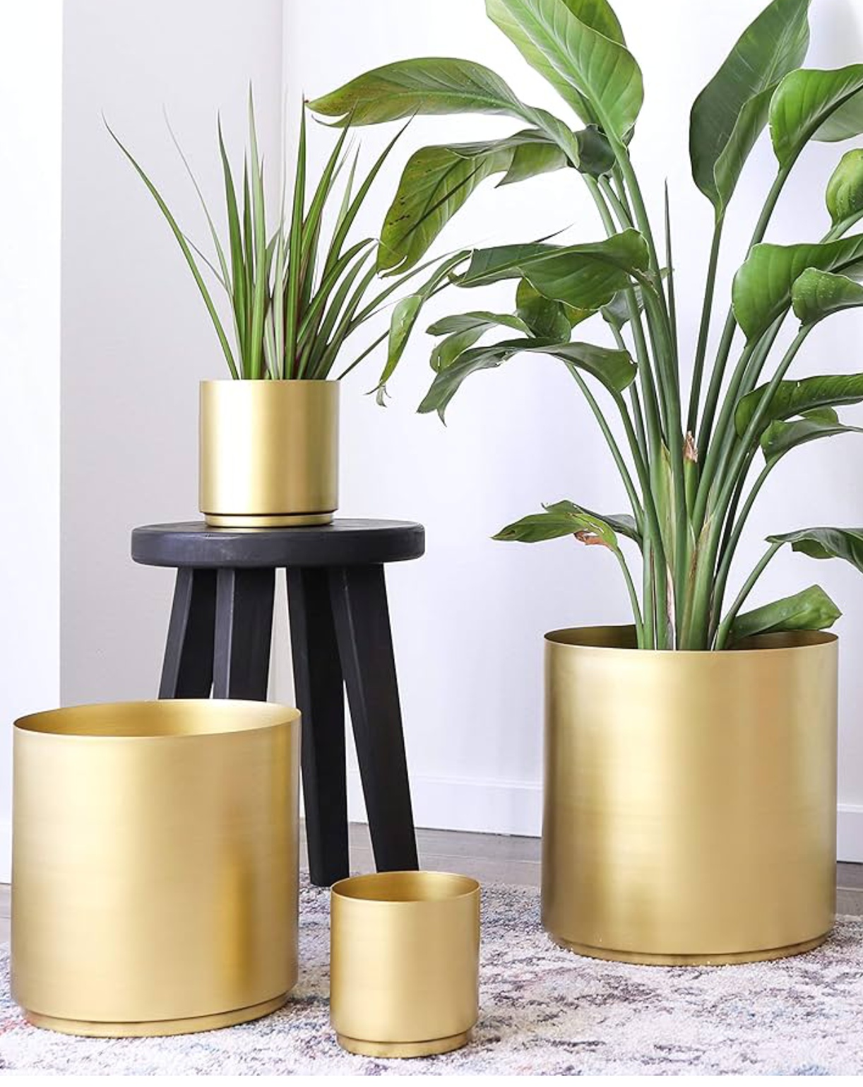Iron Planter Bowls